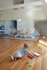 Spacious Solar Powered Beach Vacation Home - Family Friendly - Sleeps 12+ - Image 2