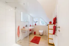 quiet thatched roof house, close to the dune forest, sauna, fireplace, WiFi, 2 bedrooms - Image 2