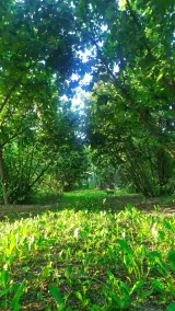 B&B Naturin - Nature, Wine, Pool and Relax - Image 3