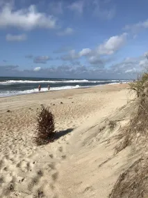 Im Herzen des Dorfes Hatteras. In der Nähe von Strand, Restaurants und Yachthäfen. - Image 4