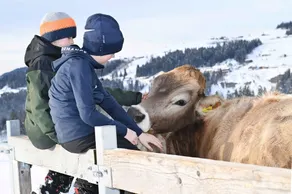 Nahturhof - Urlaub am Bauernhof natürlich erleben - Image 3