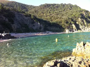 Rosamar Cove. A hidden paradise on the Costa Brava - Image 5