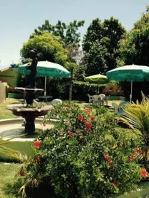 La Cayenna Hôtel et Restaurant - Image 4