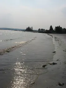 Tranquil And Peaceful Vacation Getaway Just Waiting To Welcome You - Image 3