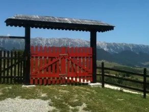 Stunning views, cozy setting, nature, pet friendly - Image 5