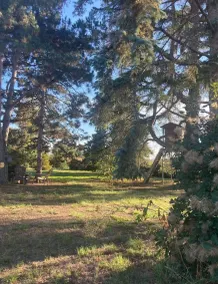 Cocooning air-conditioned gîte in a privileged, peaceful setting with large swimming pool - Image 2