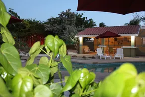 Nature Aruba Deluxe Apartments - Image 5