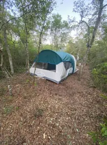 Peaceful campsite -head of Ocala National Forest trails. - Image 3