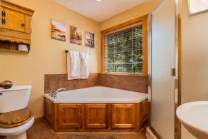 Olivia Court 10 min from silver dollar city - Image 4