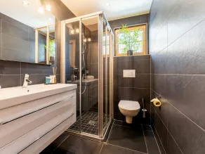 Exclusive and attractive chalet with wellness - Image 5