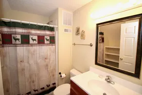 Lakeside Lookout has superb views of Norris Lake, a loft, and its own dock! - Image 2