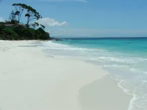 The Palm Tree Cottage - Absolute Waterfront - 5 mins to Hyams Beach - Image 3