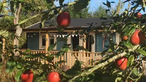 Cuttermoon Lodge - Escape to a Romantic Rural Idyll - Image 4
