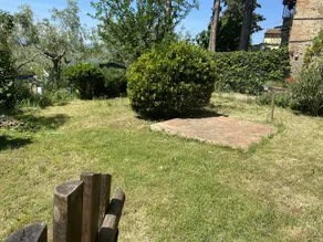 Poldo's House - Image 5