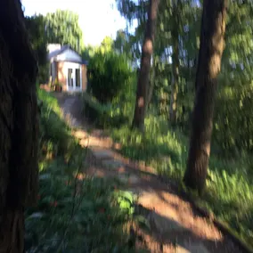 woodland cottage - Image 4