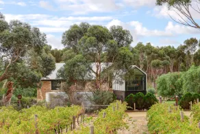 The Old Chaff Mill Organic Vineyard Retreat - Image 5