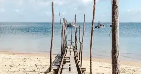 OHA WEST - Sul bacino di Arcachon, tra la duna di Pyla e il furetto Cap - Image 3