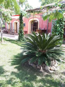 Vinauberge, Gîte Syrah: Charming holidayhome with terrace next to Canal du Midi - Image 5