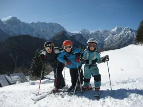 CHALET **** ALPE DREAMS - Dit andet hjem - Image 2