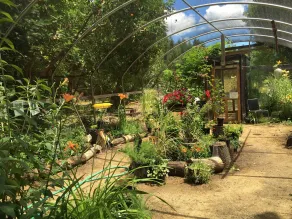 Glamping #4, Nature Immersion, River access, Butterfly Pavilion - Image 3