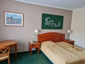 Double Room for Single Use - Hotel zur Post Waldbreitbach - Image 5