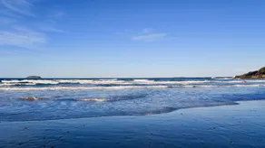 Haven Tropicana - Image 4