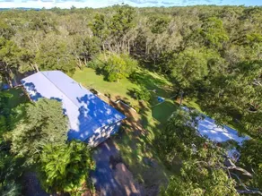 Your own stretch  of wilderness river only 15 mins from Hastings St, incl kayaks - Image 3