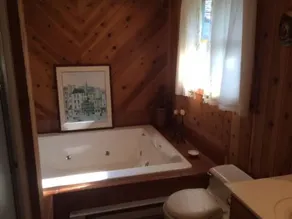 Summer - Mountain Fun Getaway - Enjoy Catskills Clean Air - Image 3