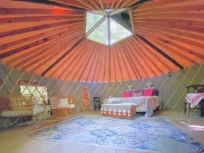 Full Site Woodland Glamping Rental near 3 of NY's Finger Lakes for 14+  - Image 3