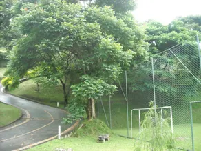 Itaipava Casa dos sonhos - Image 3
