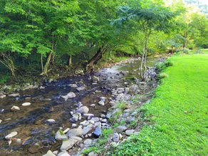 Large grassy creekside tent site! - Image 3