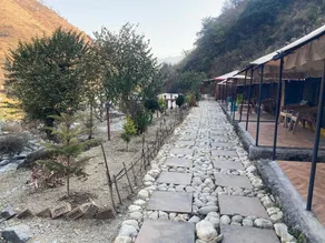 Aquatic resort - Image 4