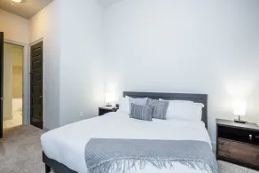 Rose at the Millennium - Stylish 1 BR in Houston - Image 4