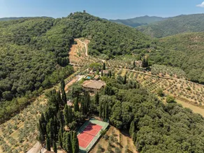 Exclusive Villa 18th century, with pool. Fine winery in Chianti central Tuscany - Image 2