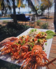 Somar Surf lodge - Image 2