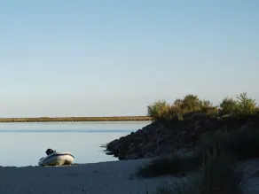 🐟Strandhaus direkt am Strand ohne störenden Autoverkehr🐟 - Image 5
