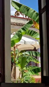 Casa de Lara - Image 4