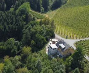 Vacation apartment for wine and cycling enthusiasts in Styrian Tuscany - Image 5