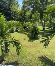Brand new modern apartment 5 min from beach - Image 4