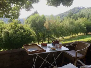 Cévennes, magnificent house, large swimming pool, nature, stunning views - Image 3