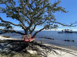 Carriage House on 120 acres on Blackwater Bay with Private Pool - Image 4