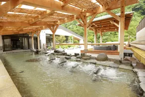 Tenseien - Image 4