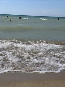 Beach days in Douglas MI - Image 5
