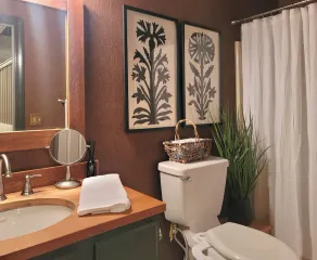 BIG CANOE Mountain STREAM gameroom SAUNA firepits trails pool table LUXURY - Image 5
