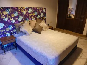 A haven of peace in the heart of the palm grove - Image 5