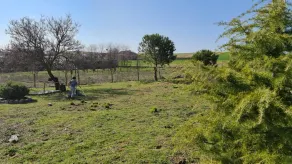 Casa Rural con Finca Privada de 5000 Metros a 4 km de Salamanca - Image 4