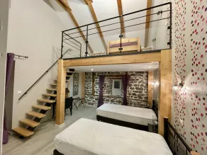 Superb 450 m2 farmhouse fully restored in Haute Loire - Image 3