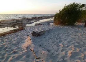 Piratenhus - Piratenhus - Image 5