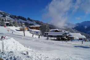 \"Domaine Les Saisies\" 2 Zimmer 33 m2, 150m von den Pisten WLAN, Garage, Schwimmbad - Image 5