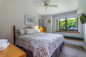 1Br Ski-in, Ski-Out at Okemo Mountain Lodge condo - Image 4